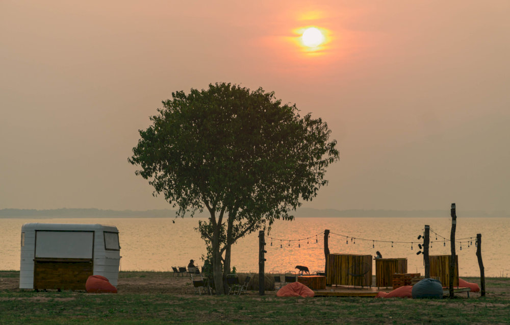 C&acirc;y c&ocirc; đơn b&ecirc;n hồ Dầu Tiếng 